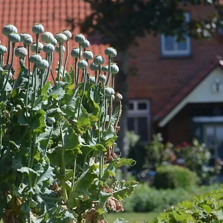 Apartmán Hof Brinker - Kornspeicher