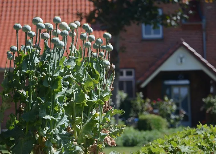 Apartmán Hof Brinker - Kornspeicher